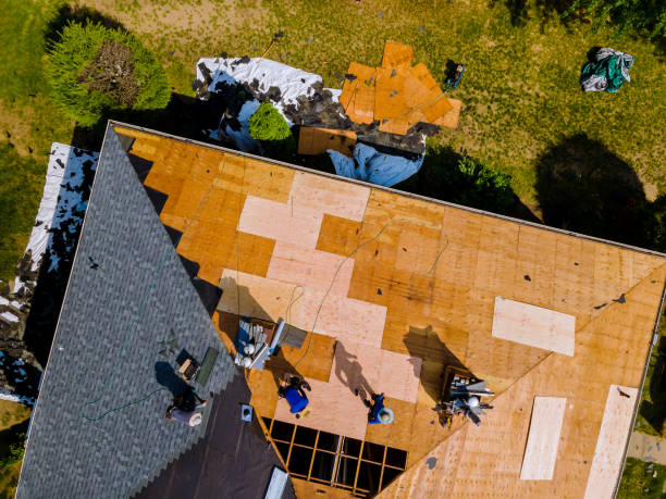 Best Metal Roofing Contractor  in Greeley, CO